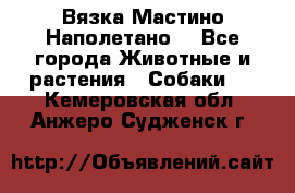 Вязка Мастино Наполетано  - Все города Животные и растения » Собаки   . Кемеровская обл.,Анжеро-Судженск г.